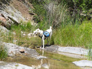 photo thumbnail #6