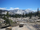 photo thumbnail #12