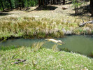 photo thumbnail #3