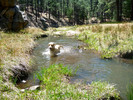 photo thumbnail #4