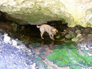 photo thumbnail #8