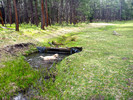photo thumbnail #10