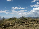photo thumbnail #11
