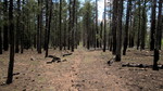 photo thumbnail #15