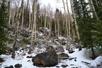 photo thumbnail #8