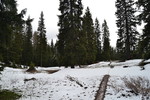 photo thumbnail #9