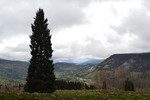 photo thumbnail #13