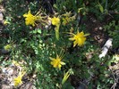 photo thumbnail #11