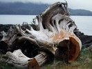 photo thumbnail #7