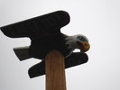 photo thumbnail #12