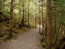 photo thumbnail #15