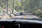 photo thumbnail #1