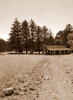 photo thumbnail #12