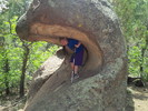 photo thumbnail #2