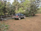 photo thumbnail #2