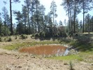 photo thumbnail #4