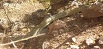 photo thumbnail #10