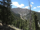 photo thumbnail #7