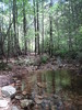 photo thumbnail #14