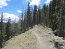 photo thumbnail #10