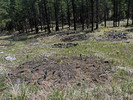 photo thumbnail #7