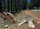 photo thumbnail #14