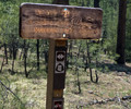 photo thumbnail #15