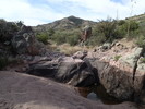 photo thumbnail #3
