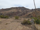 photo thumbnail #6
