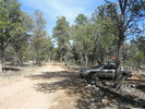 photo thumbnail #3