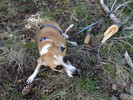 photo thumbnail #3