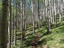 photo thumbnail #4