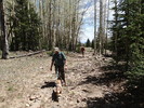 photo thumbnail #9