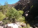photo thumbnail #11