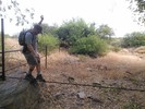 photo thumbnail #6
