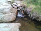 photo thumbnail #11