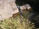 photo thumbnail #14