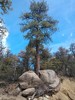 photo thumbnail #5