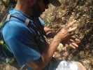 photo thumbnail #14
