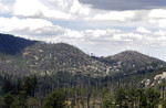 photo thumbnail #4