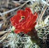 photo thumbnail #11