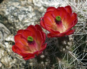 photo thumbnail #7