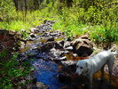 photo thumbnail #5