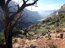 photo thumbnail #9