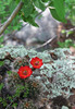 photo thumbnail #8