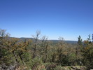 photo thumbnail #8