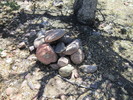 photo thumbnail #10