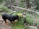 photo thumbnail #14