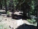 photo thumbnail #11