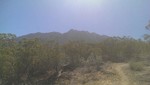 photo thumbnail #7